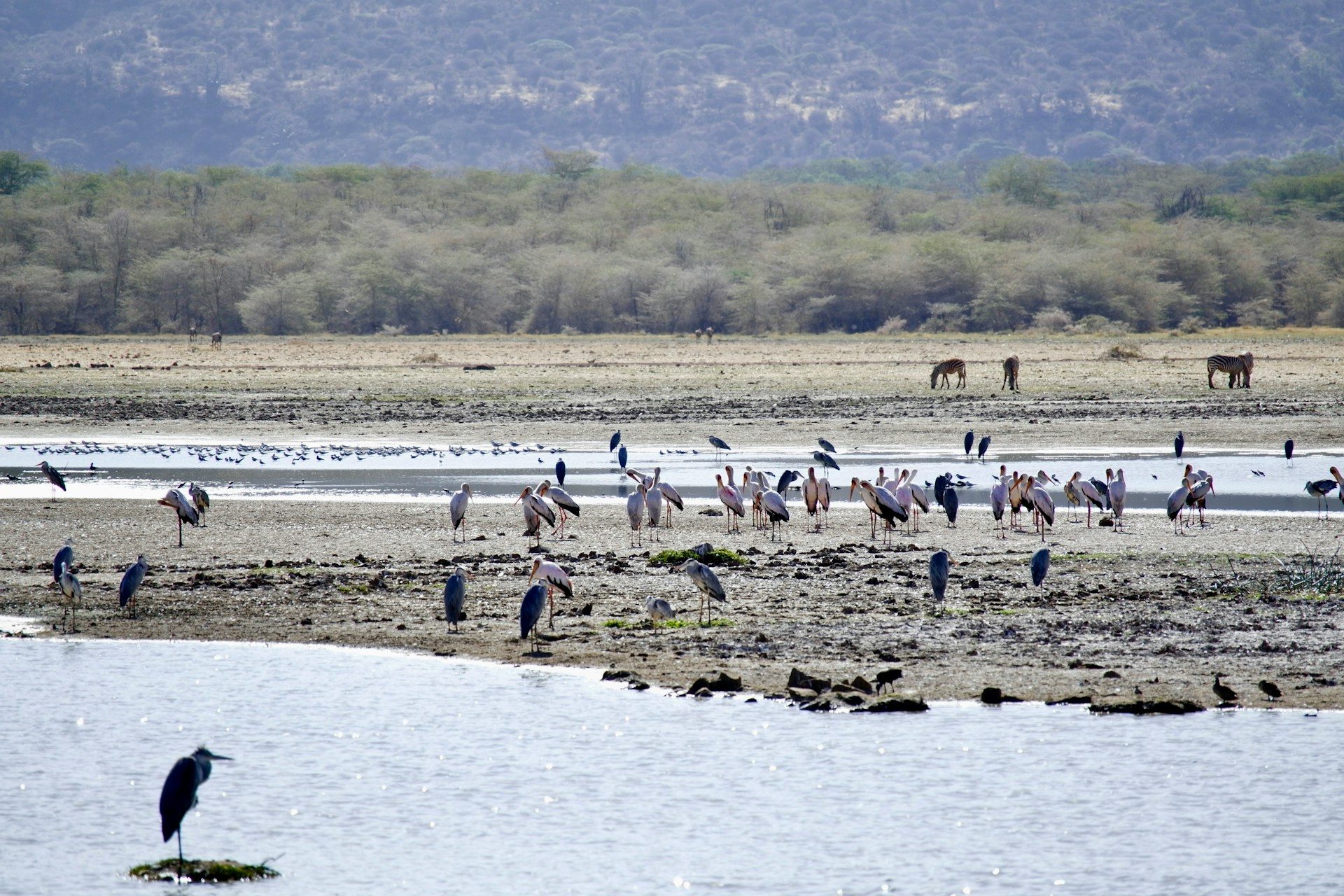 Tarangire, Manyara & Ngorongoro — 6 Days / 5 Nights