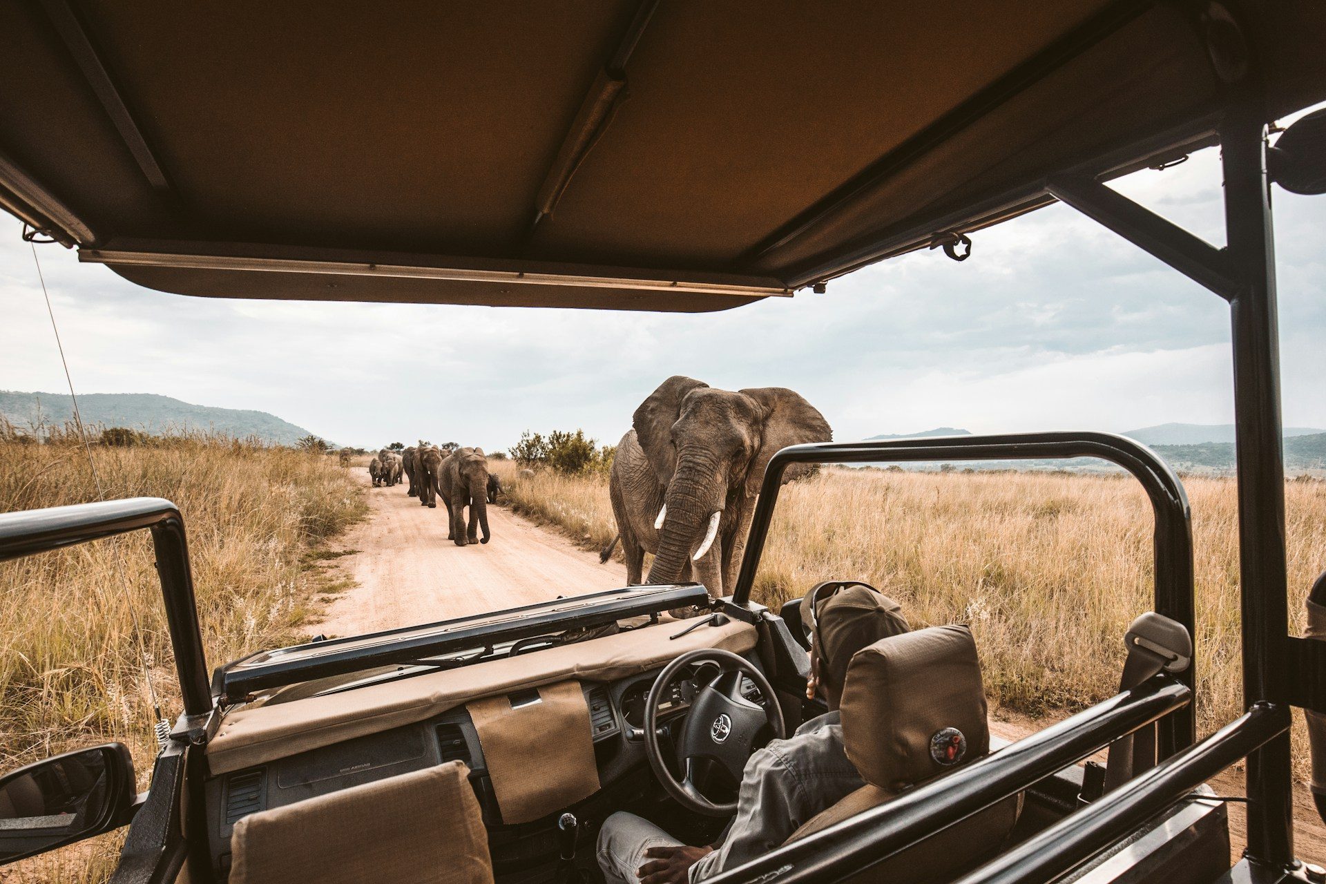 Southern Circuit Combo (Nyerere + Ruaha) — 5 Days / 4 Nights