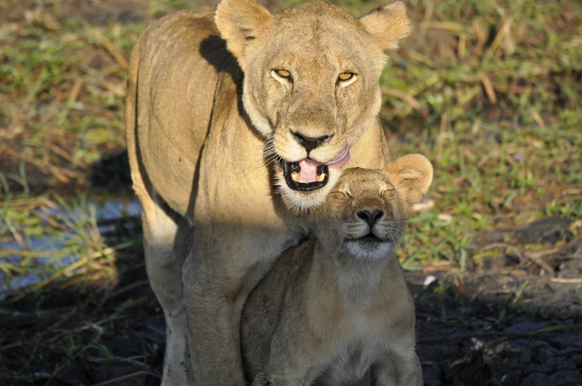 Katavi National Park