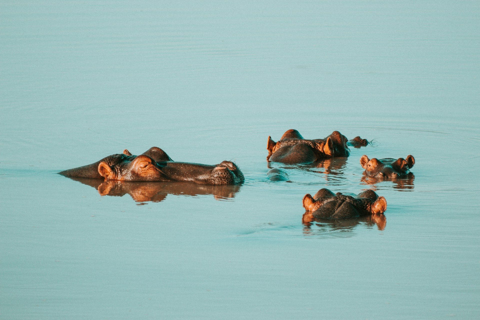 Luxury Nyerere + Ruaha — 6 Days / 5 Nights